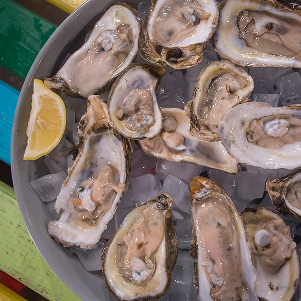 oysters on half shell