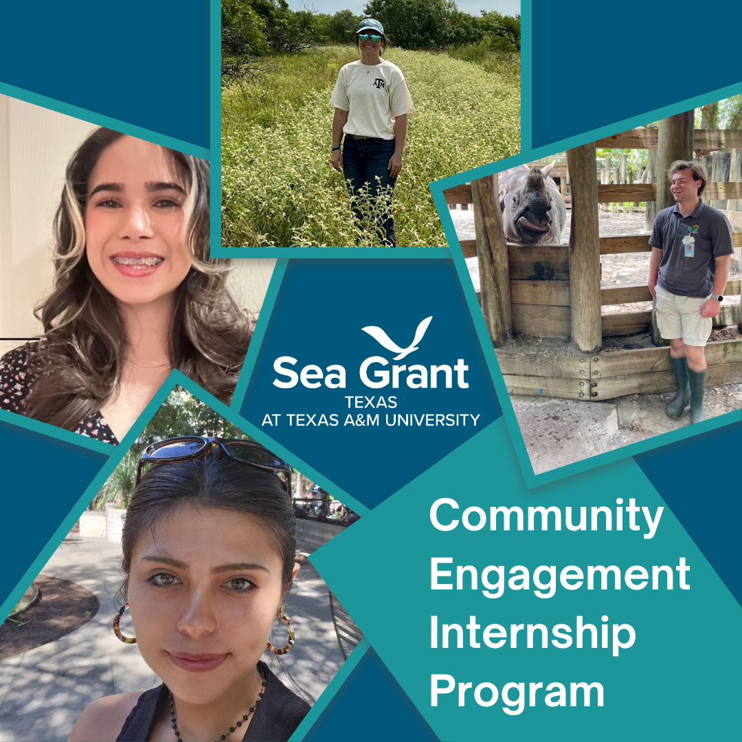 Texas Sea Grant at Texas A&M University | Community Engagement Internship Program
