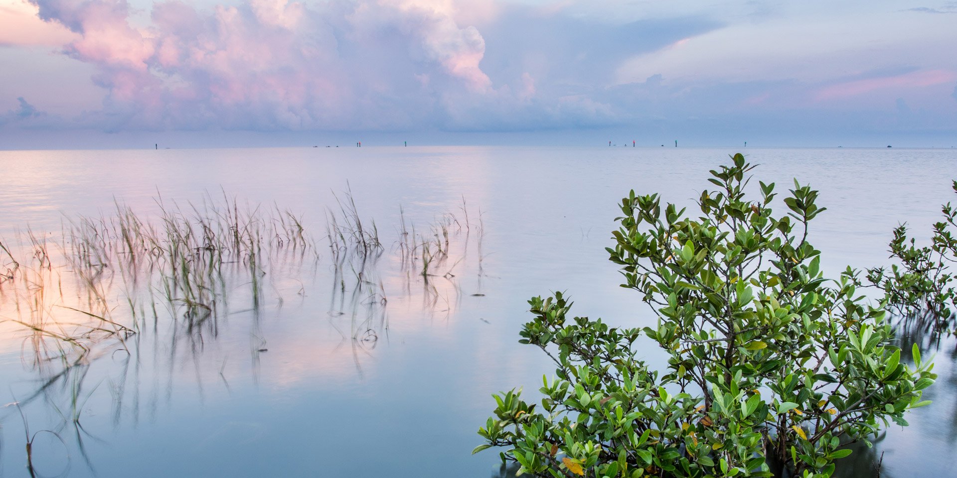 Texas coast at sunset with marine plants