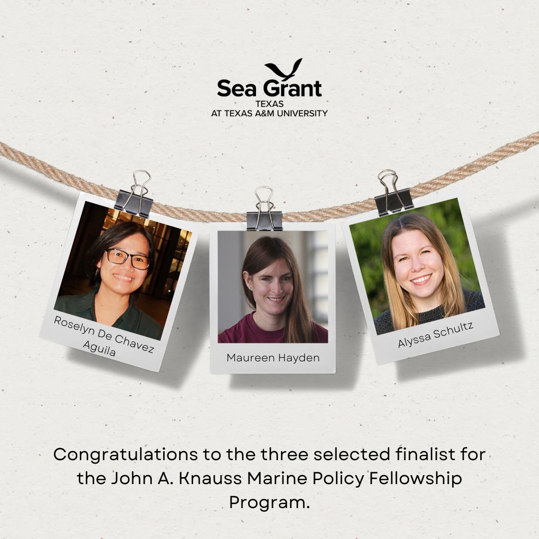 Roselyn De Chavez Aguila, Maureen Hayden, and Alyssa Schultz