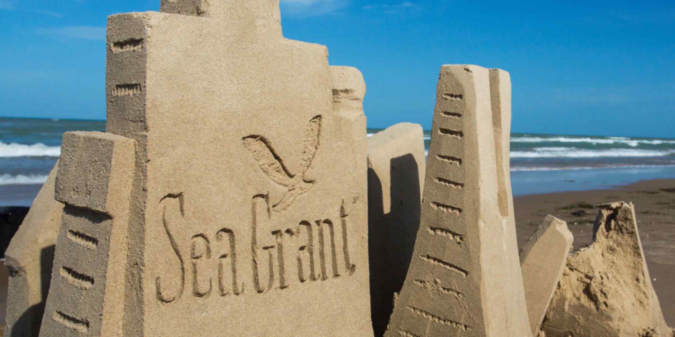Sea Grant sand castle carving galveston beach