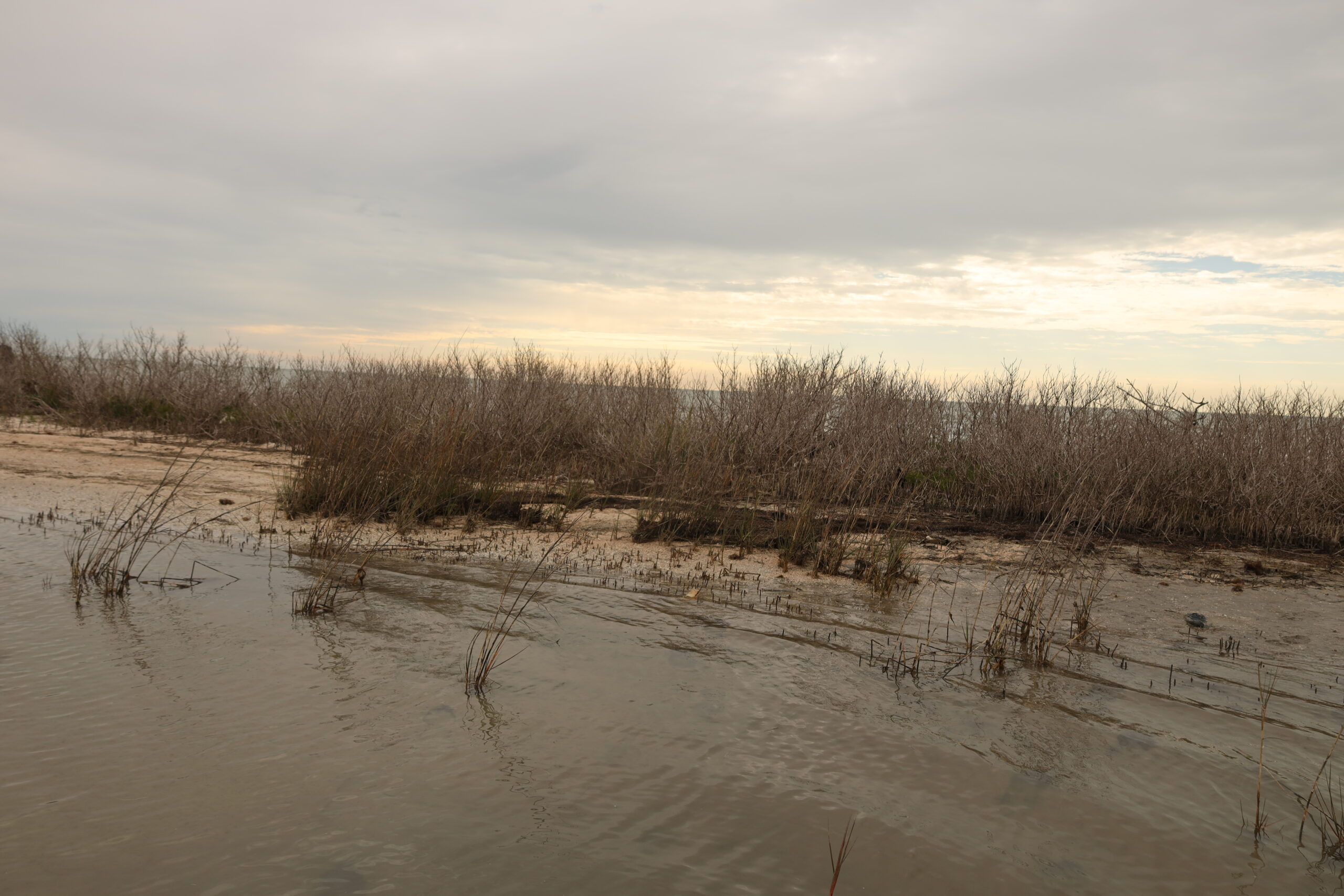 bay scene