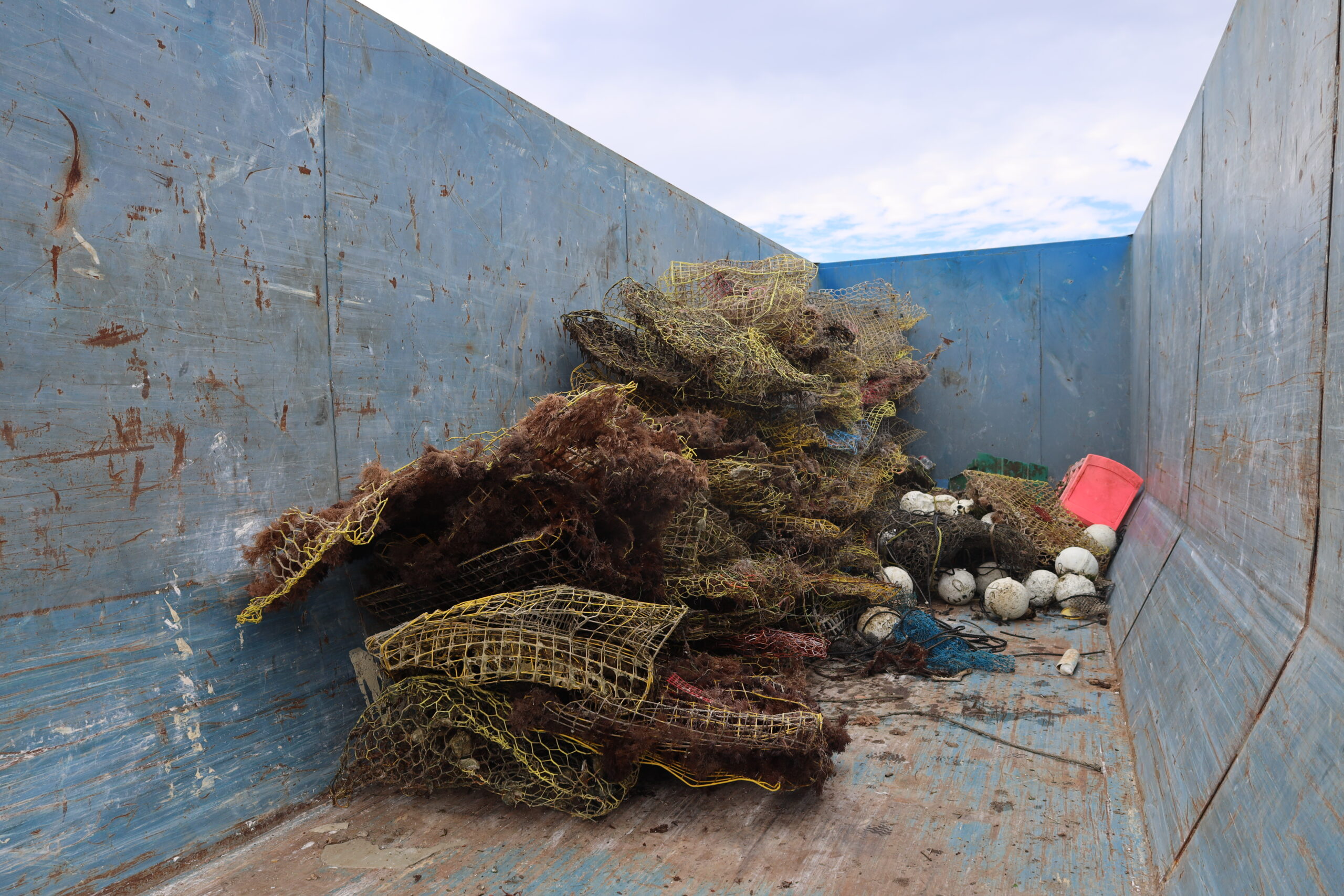 crab traps inside dumpster