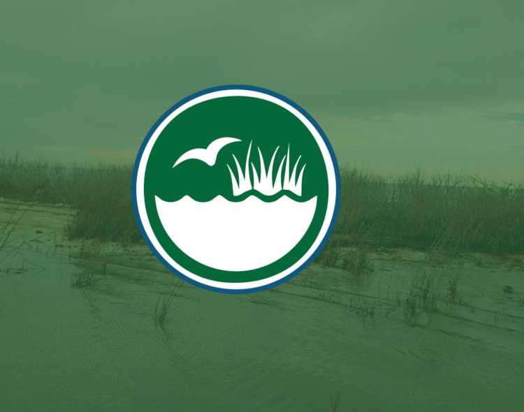 Healthy Coastal Ecosystems home page icon and image showing coast