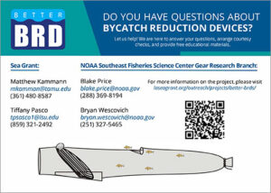 BRD project contact card for team