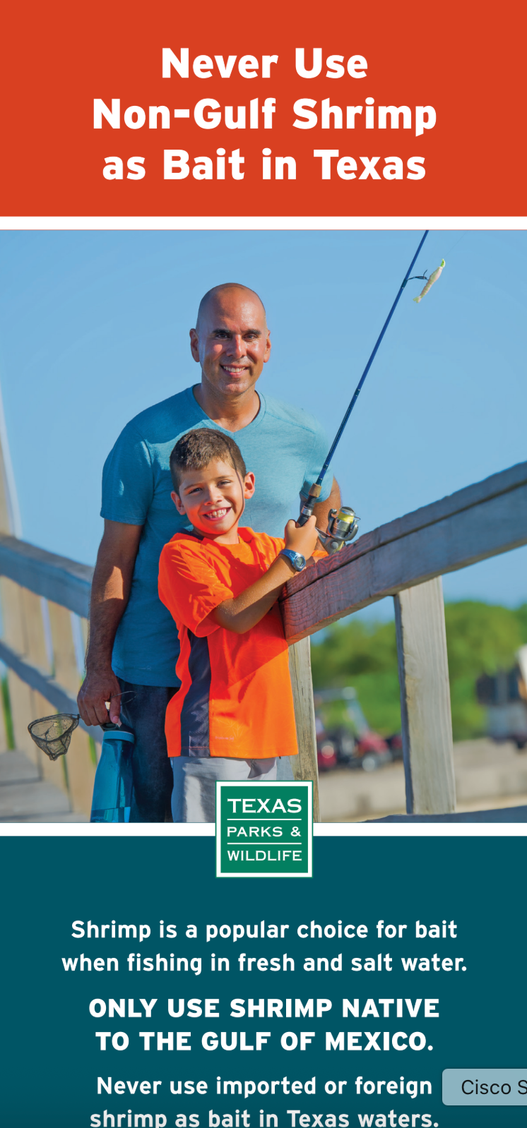 Never Use Non-Shrimp Brochure thumbnail
