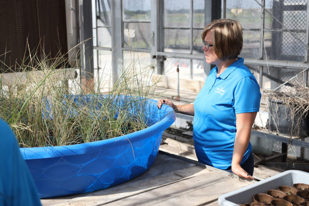 April looking at sea grasses