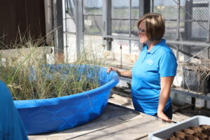 April looking at sea grasses