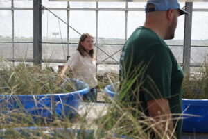 People talking in Greenhouse