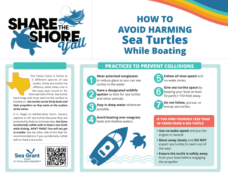 Avoid sea turtles while boating brochure