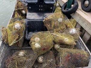 boat full of old crab traps