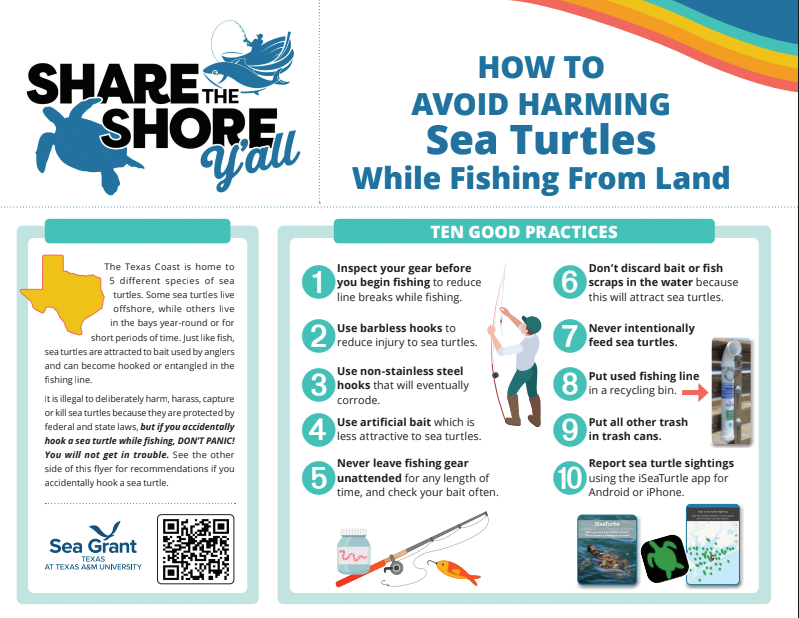 share the shore thumbnail flyer