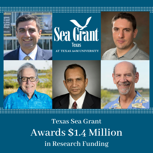 A compilation of headshots of the research award recipients