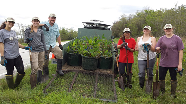 People standing over coastal plants for wetlands