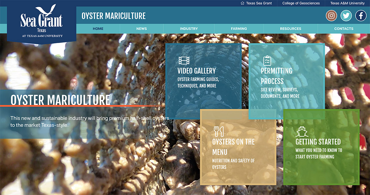 This image shows the header for the oyster website.
