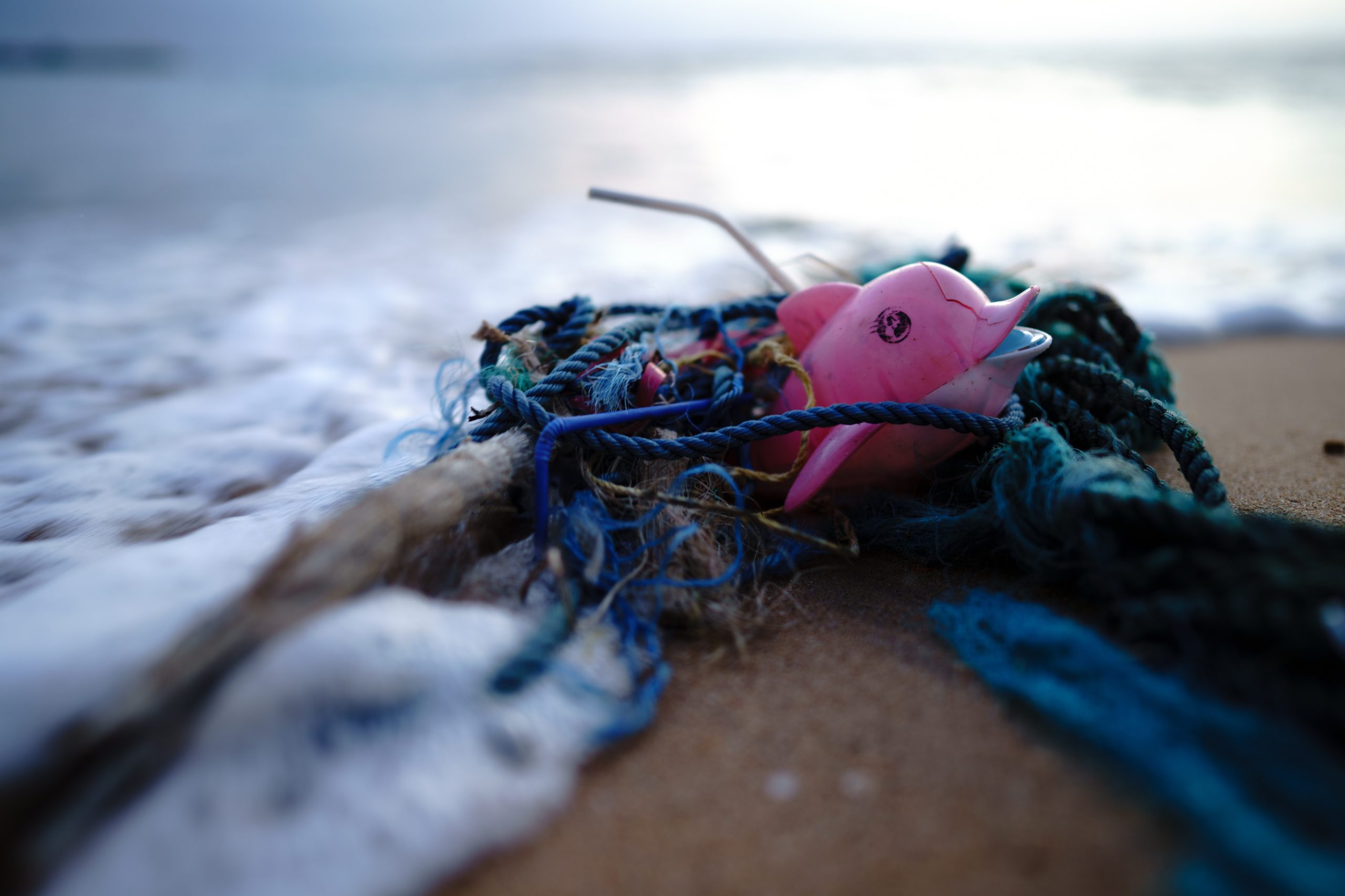 Toy stuck in fishing rope on the coast