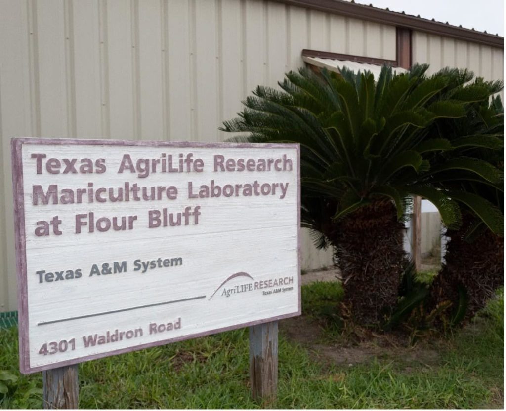 Flour Bluff Texas A&M AgriLife Research Laboratory