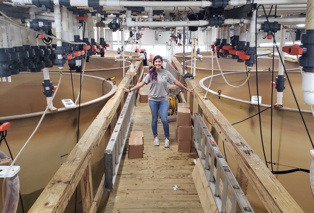 Meghan Martinez at the University of Maryland Center for Environmental Science Horn Point Oyster Hatchery.