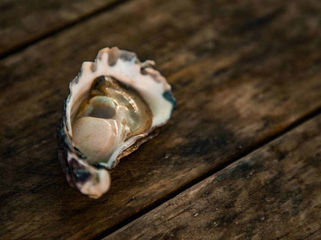 A shucked oyster displaying the inside