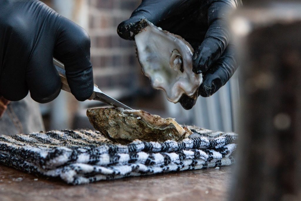 An oyster shell being shucked