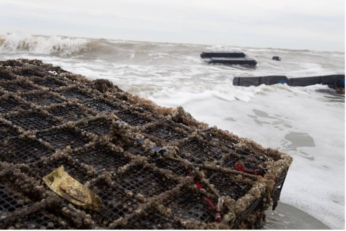 An oyster cage for oyster farming