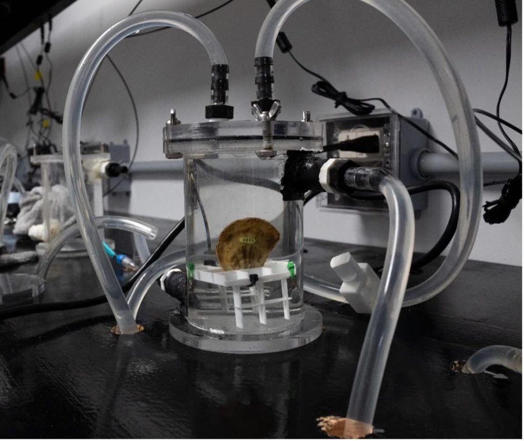 Respirometry Machine