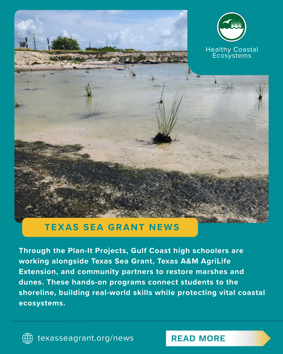 Through the Plan-It projects, Gulf Coast High schoolers are working alongside Texas Sea Grant, Texas A&M Agrilife Extension and community partners to restore marshes and dune. These hands-on programs connect students to the shoreline, building real-world skills while protecting vital coastal ecosystems.