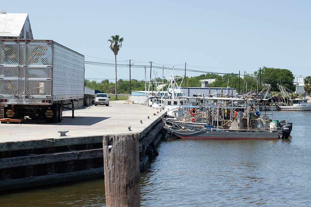 Oyster boats at a dock in Port Lavaca, Texas.