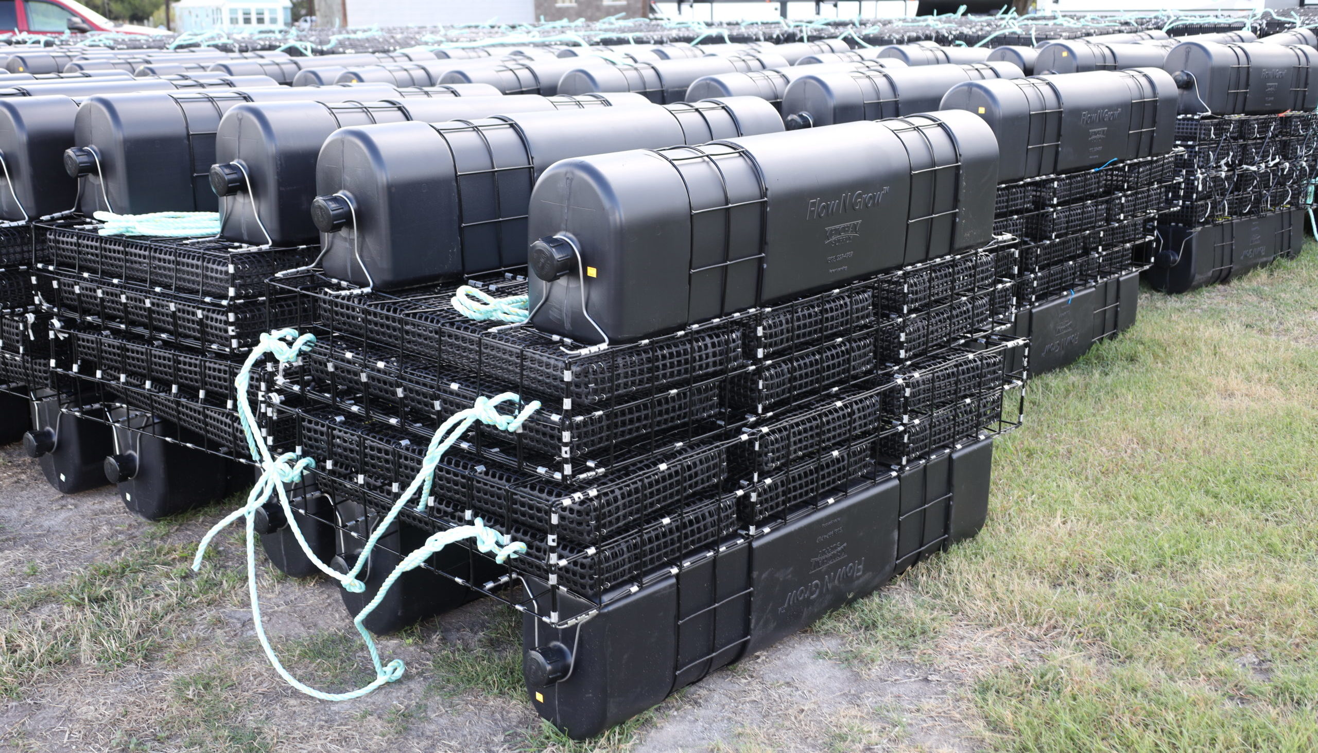 Floating cages for oyster farming