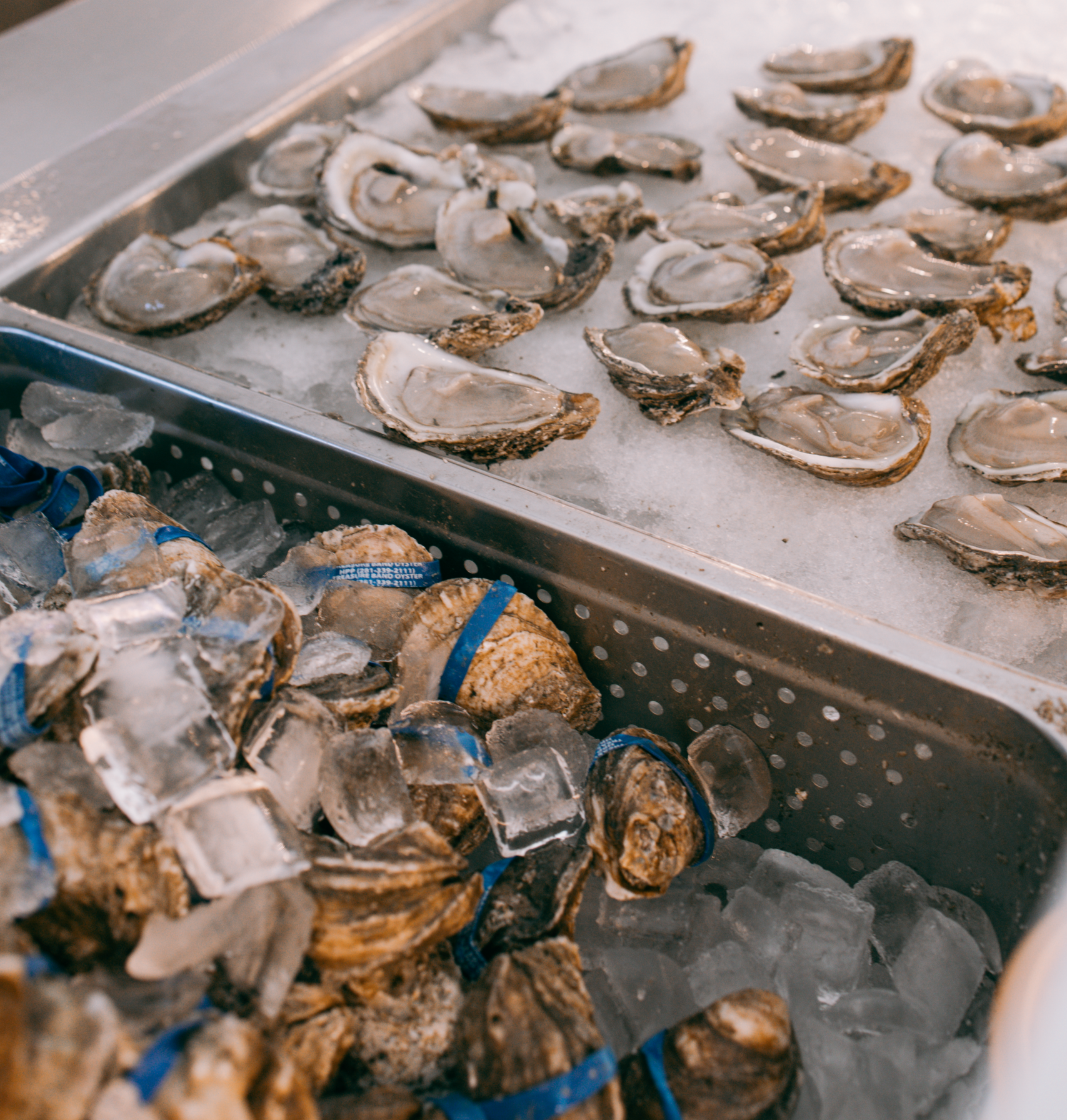 Oysters at Prestige Oyster, Inc. ready to be served from the shucking bar.
