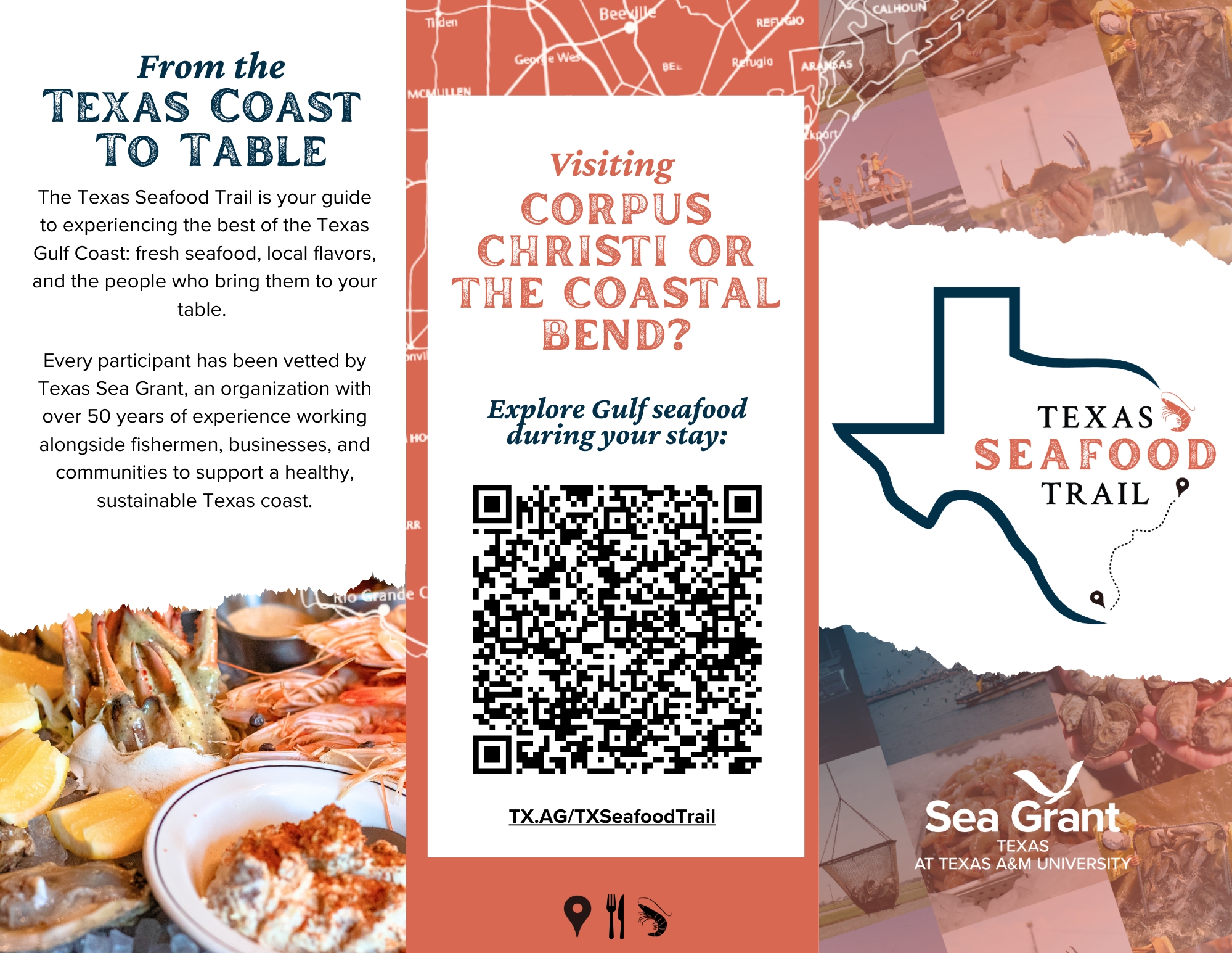 Image of coastal bend seafood trail brochure