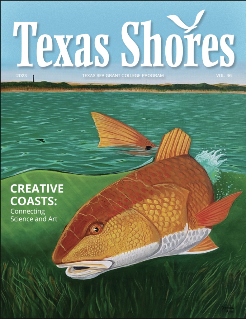 Texas Shores 2023 Cover