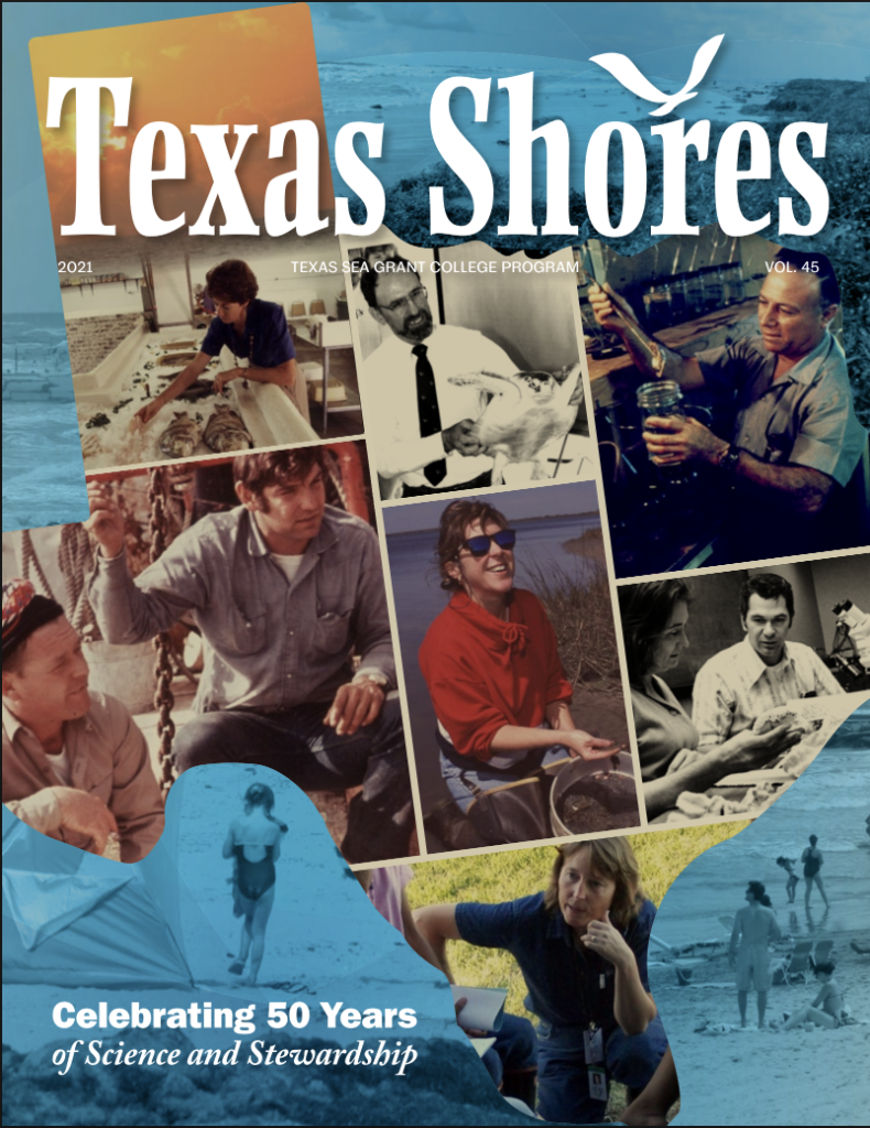 Texas Shores 2021 Cover
