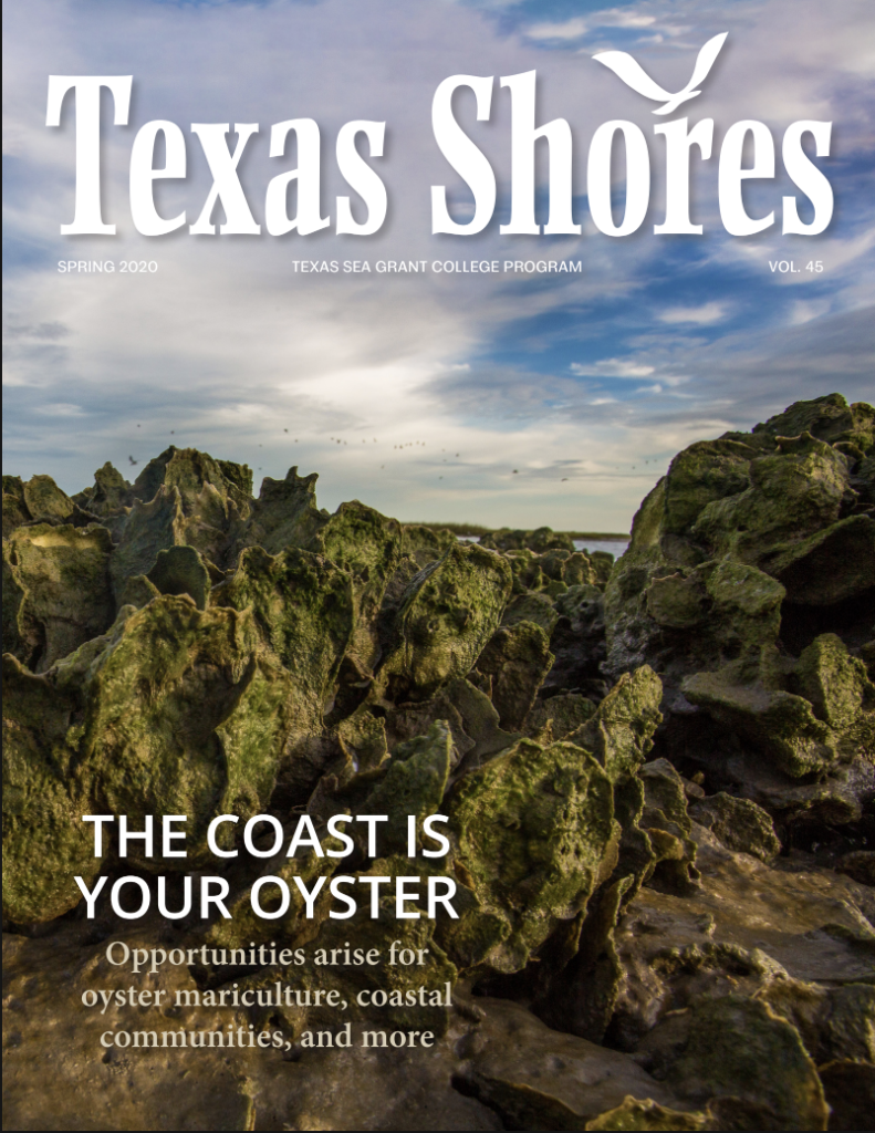 Texas Shores 2020 Spring Cover