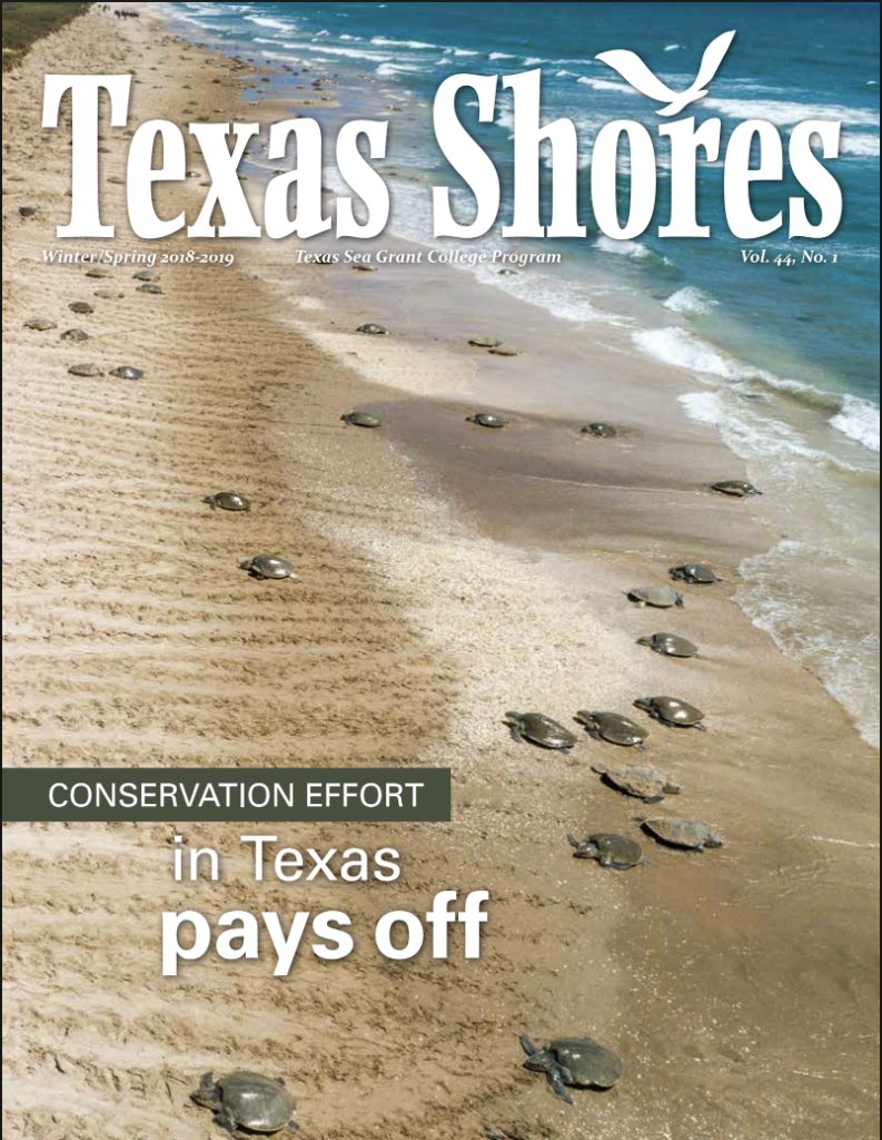 Texas Shores 2019 Cover