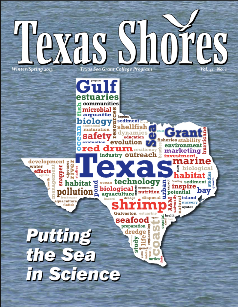 Texas Shores 2013 Winter Cover