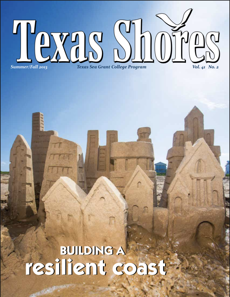 Texas Shores 2013 Summer Cover