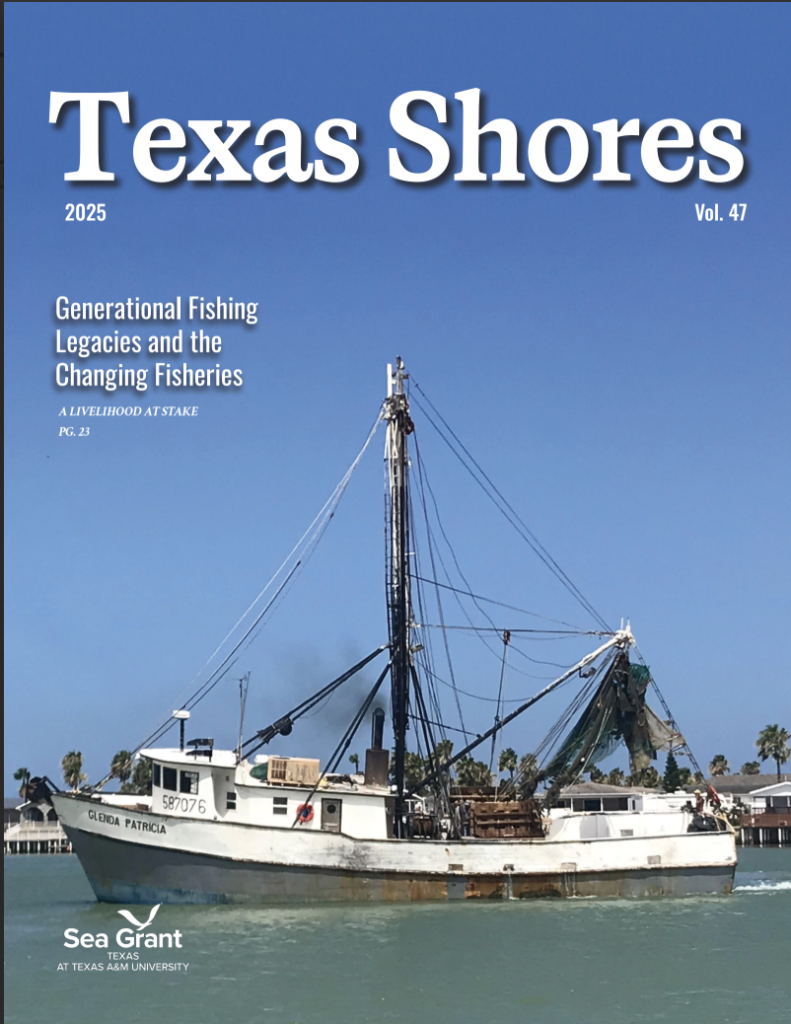 Texas Shores 2025 Cover