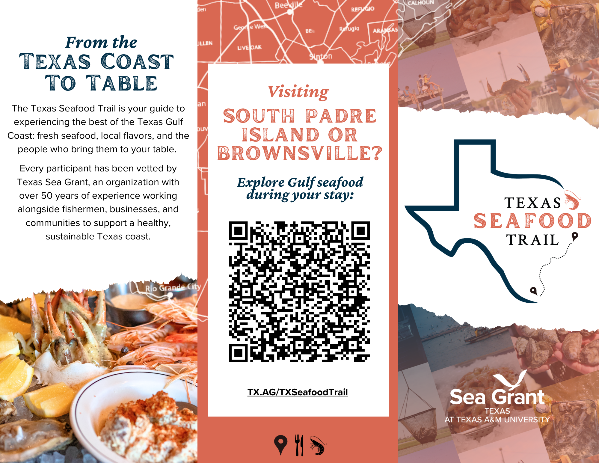 Padre island brochure seafood trail image