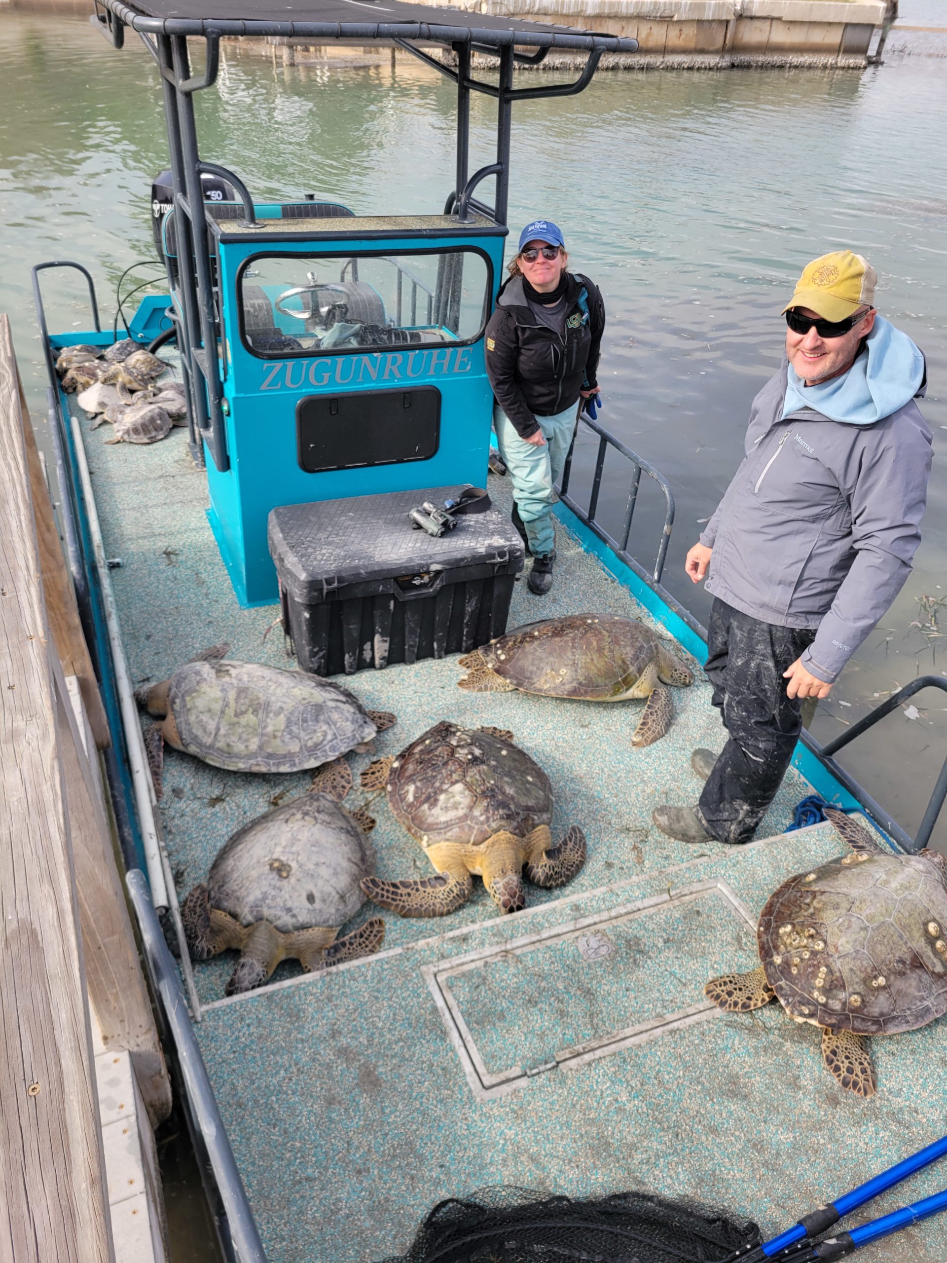 Cold-stunned turtle event, rescuers aboard a CBEP boat