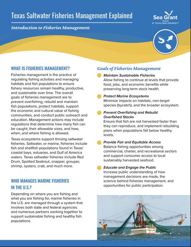 Texas Saltwater Fisheries Management Explained cover.